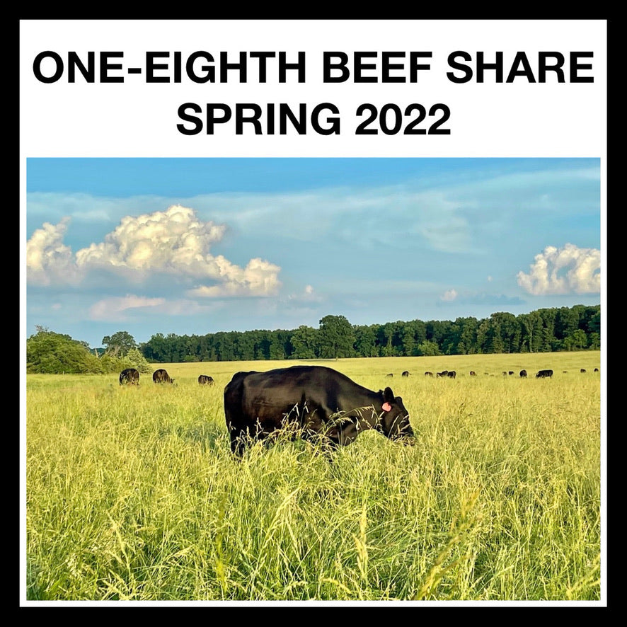 FALL 2022 DEPOSIT - 1/8 BEEF