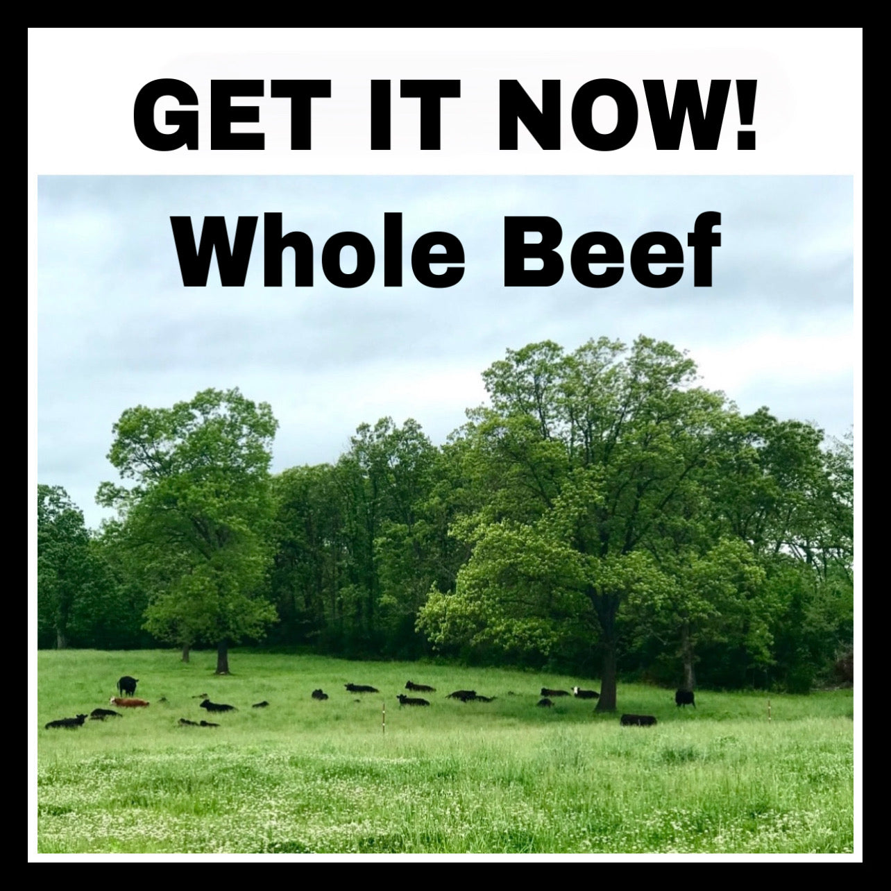 GET IT NOW! - WHOLE BEEF - DEPOSIT