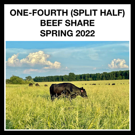 FALL 2022 DEPOSIT - 1/4 (SPLIT HALF)